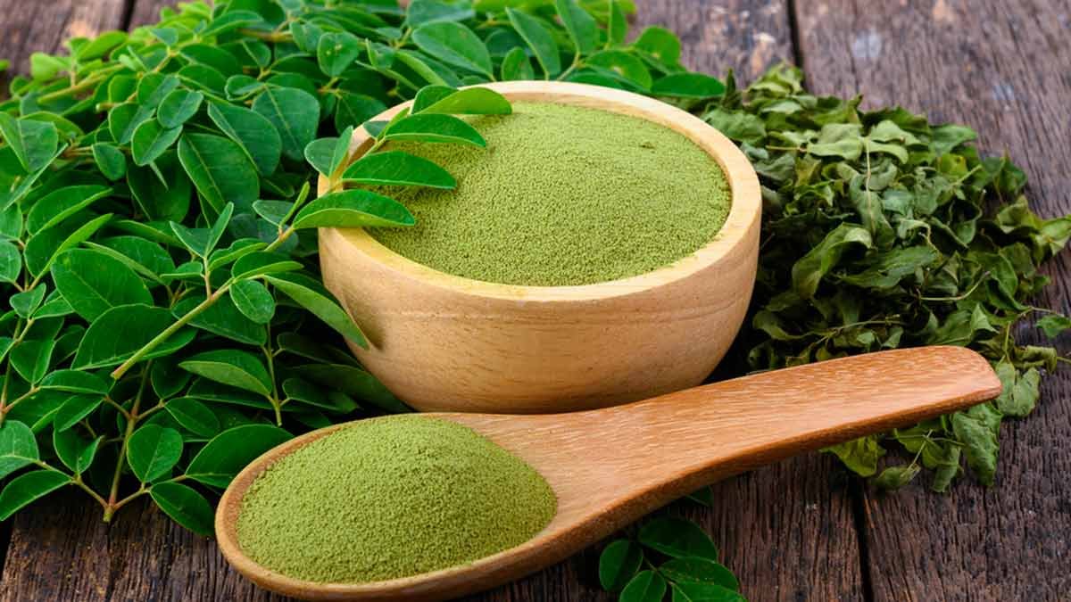 moringa powder