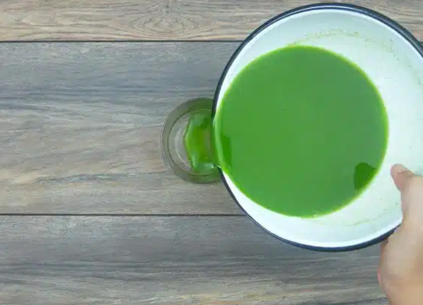 Moringa Juice