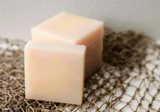 Moringa Oil Can Turn Any Soap Into A Luxurious Beauty Treatment