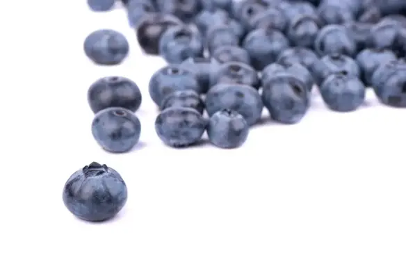 blueberries