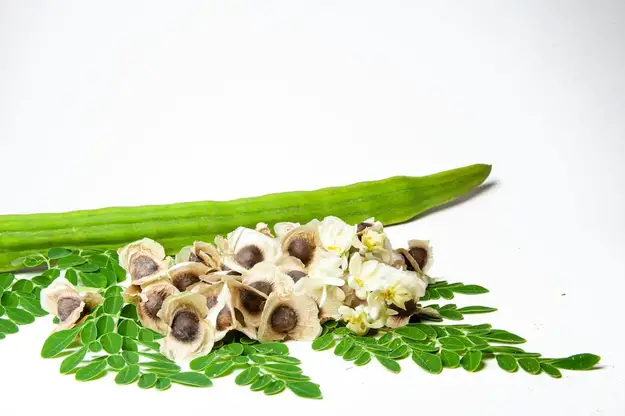 What Do Moringa Seeds Taste Like?