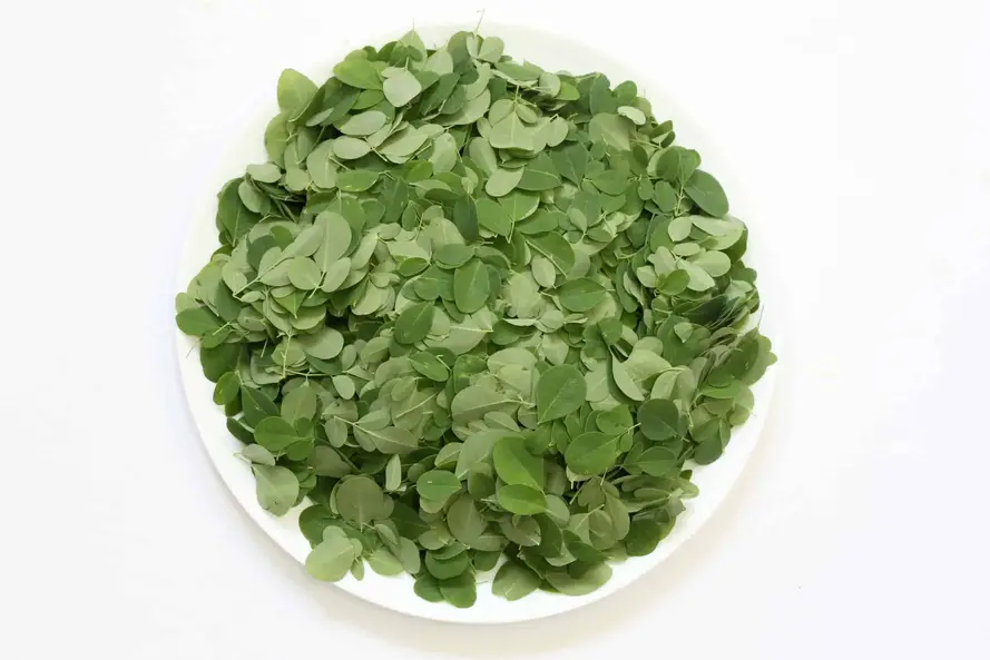 What Does Moringa Taste Like?