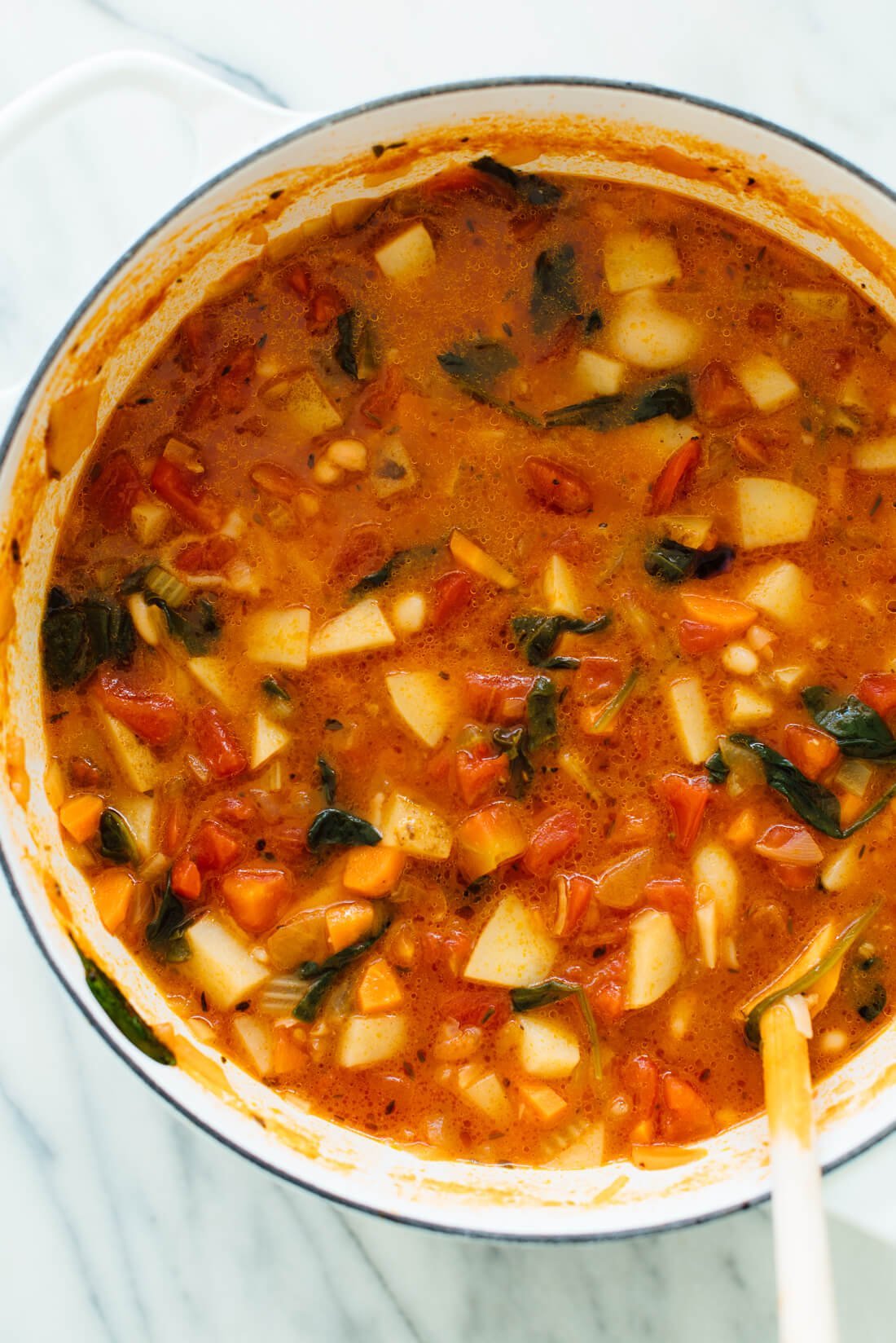 Classic Minestrone Soup