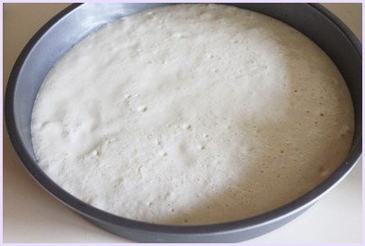 Khatta Dhokla