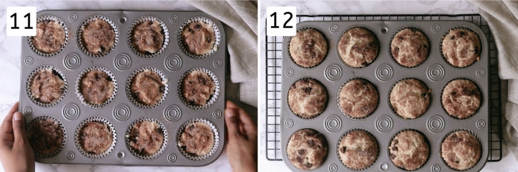Chocolate Chip Muffins